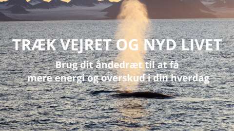 TRÆK VEJRET OG NYD LIVET - Åndedrætstræning - Succes med Livet