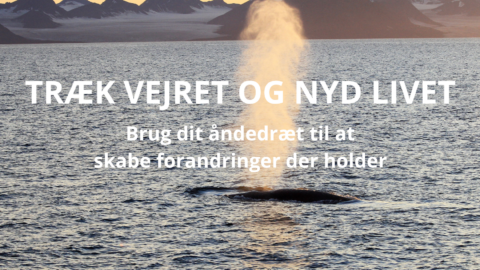 TRÆK VEJRET OG NYD LIVET - Skab forandringer med åndedrætsrejser