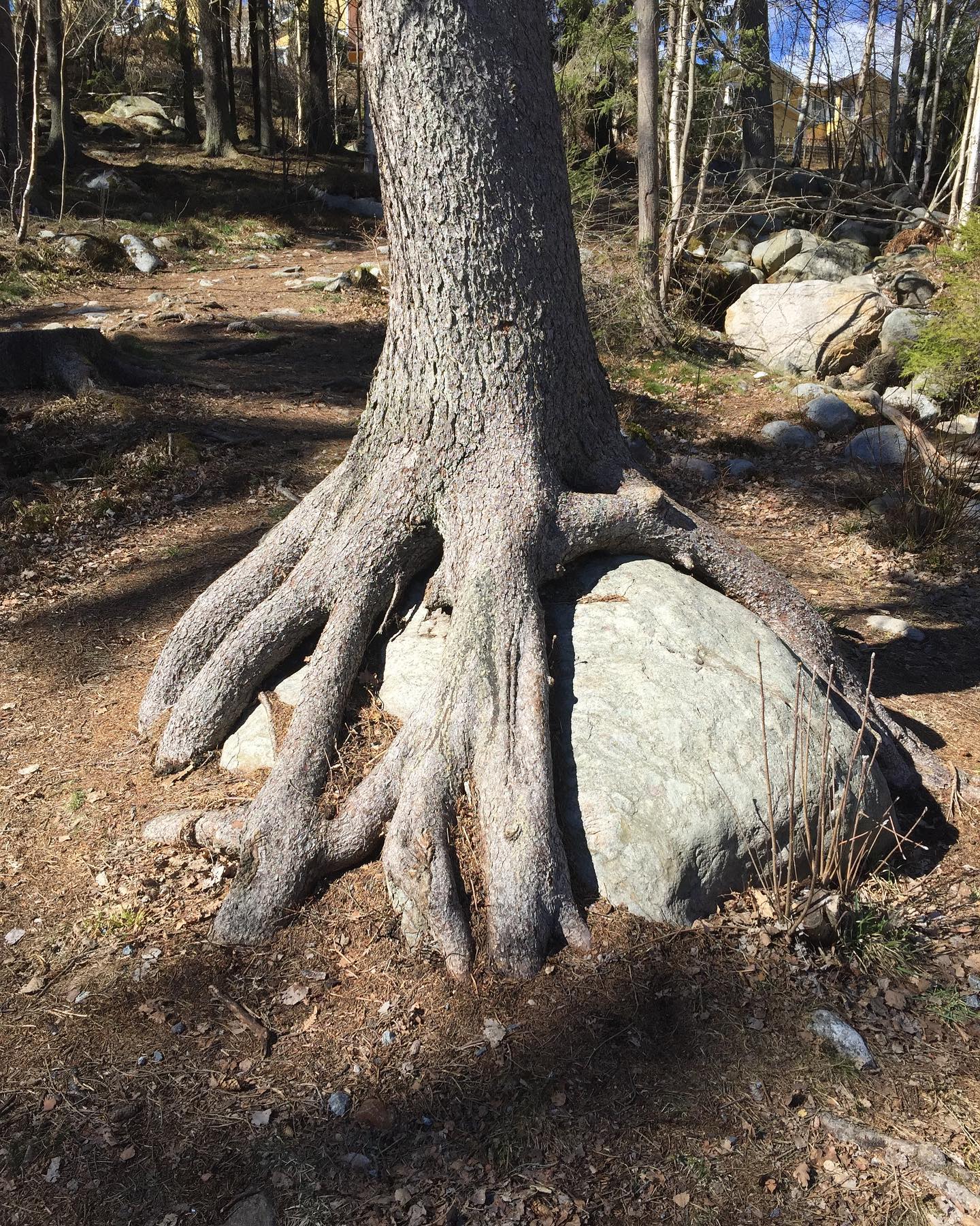 HEART SPIRIT – LUNA ELVSTRØM