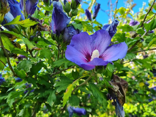 Jeg-har-kraeft-Hvad-kan-jeg-goere?-Hanne-Kjaer-Ulig